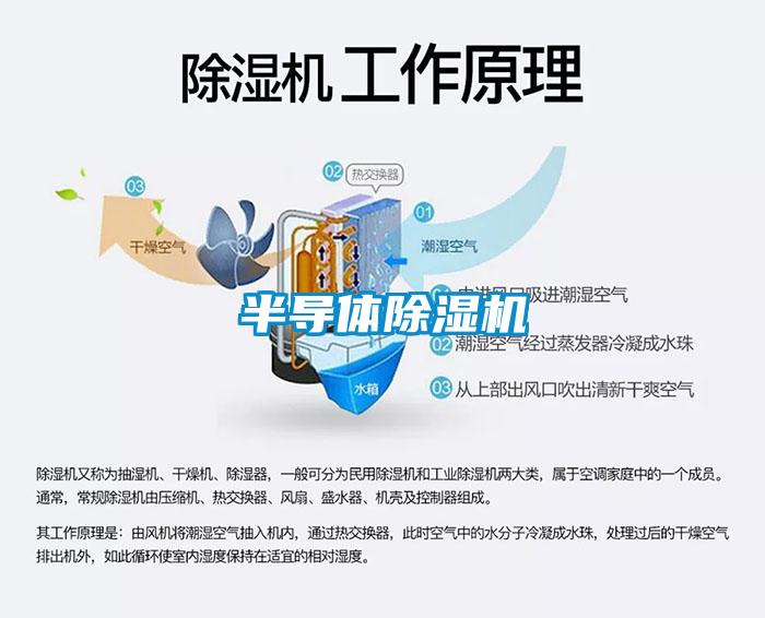 半导体粉色视频免费在线观看