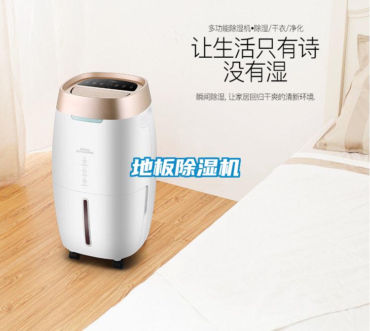 地板粉色视频免费在线观看