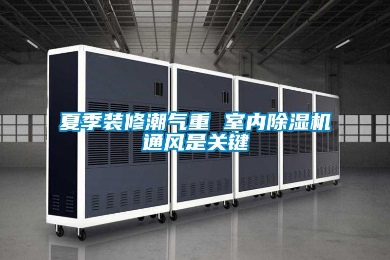 夏季装修潮气重 室内粉色视频免费在线观看通风是关键