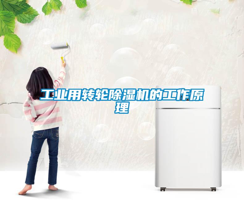 工业用转轮粉色视频免费在线观看的工作原理