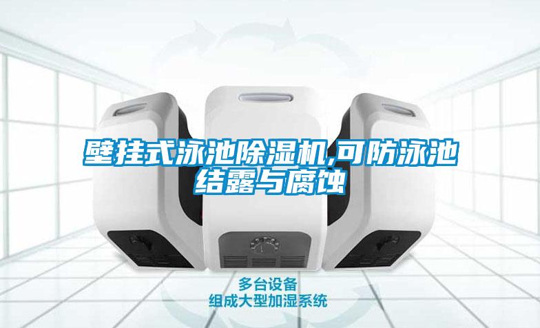 壁挂式泳池粉色视频免费在线观看,可防泳池结露与腐蚀