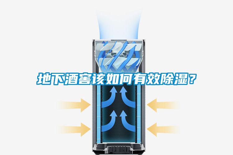地下酒窖该如何有效除湿？