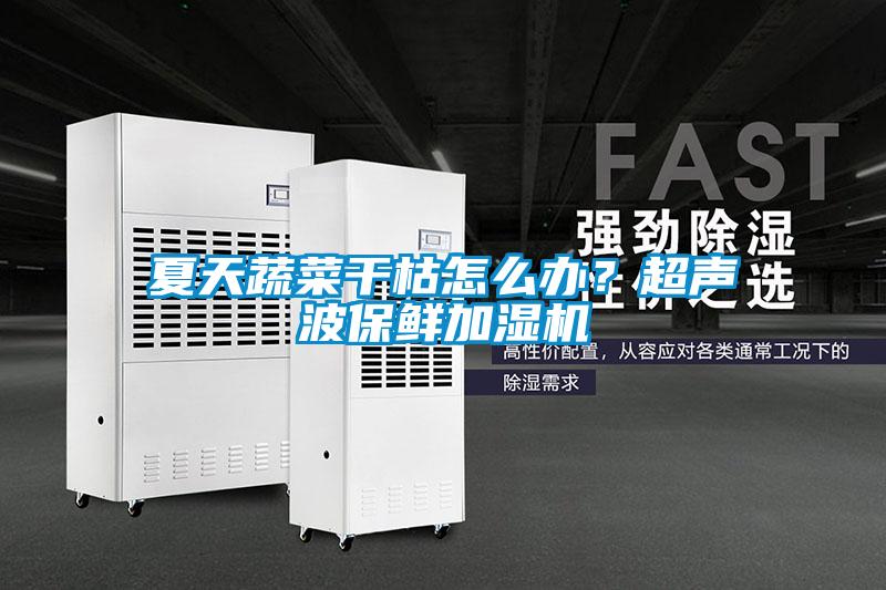 夏天蔬菜干枯怎么办？超声波保鲜加湿机