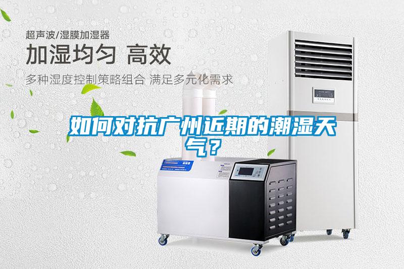 如何对抗广州近期的潮湿天气？