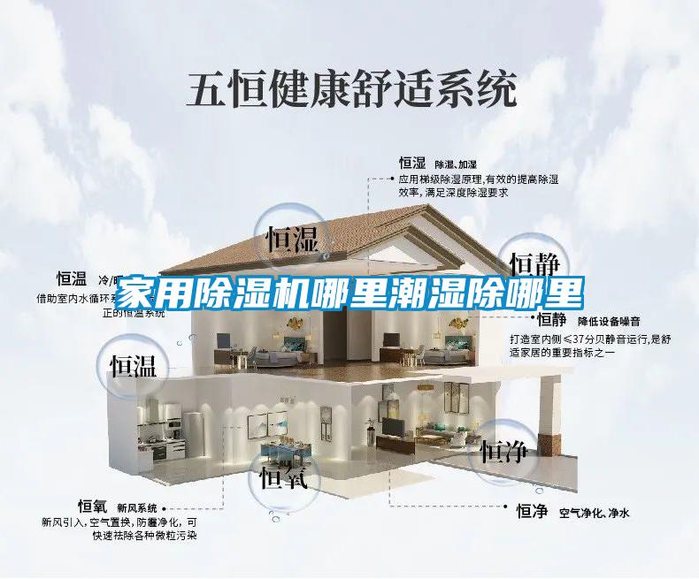 家用粉色视频免费在线观看哪里潮湿除哪里
