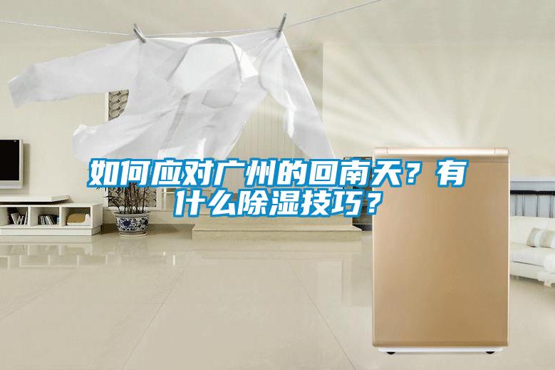 如何应对广州的回南天？有什么除湿技巧？