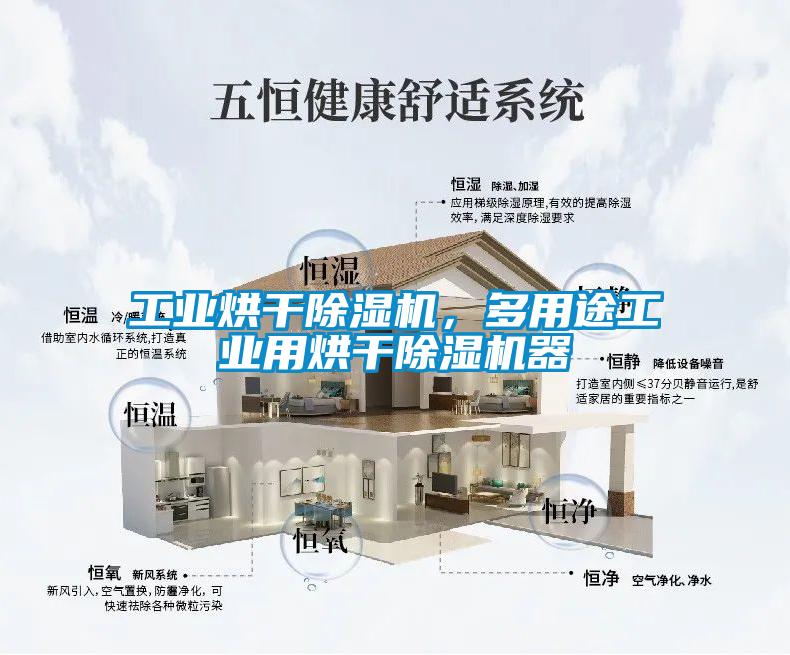 工业烘干粉色视频免费在线观看，多用途工业用烘干粉色视频免费在线观看器