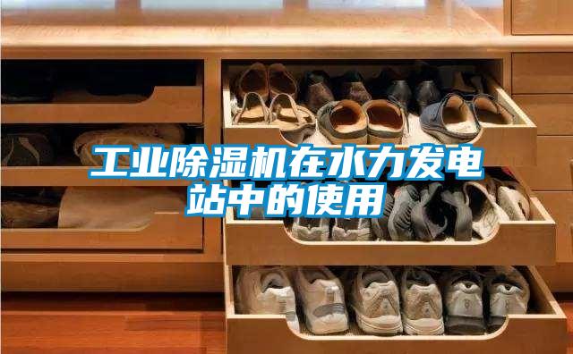 工业粉色视频免费在线观看在水力发电站中的使用