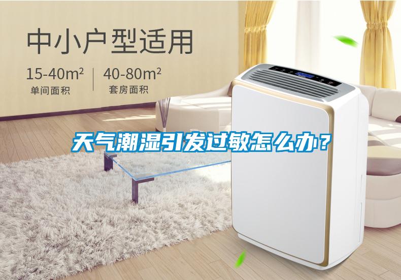 天气潮湿引发过敏怎么办？