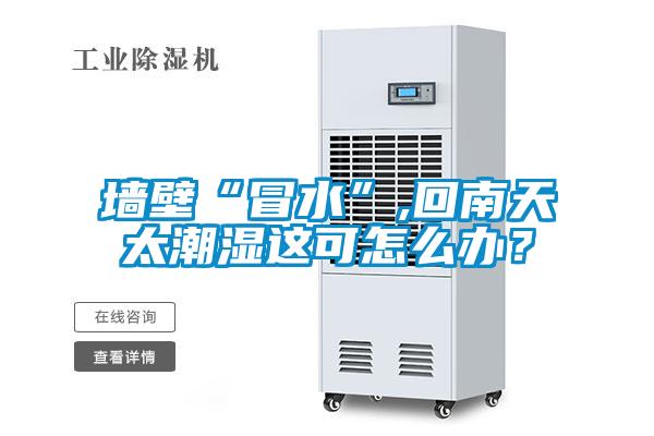 墙壁“冒水”,回南天太潮湿这可怎么办？