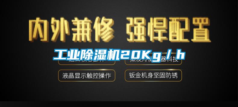 工业粉色视频免费在线观看20Kg／h