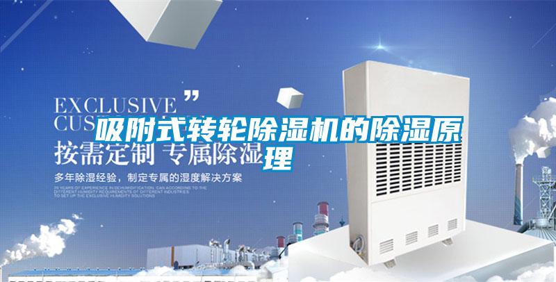 吸附式转轮粉色视频免费在线观看的除湿原理