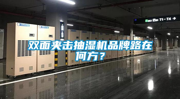 双面夹击抽湿机品牌路在何方？
