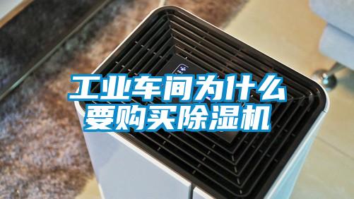 工业车间为什么要购买粉色视频免费在线观看