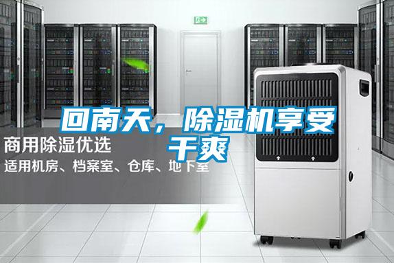 回南天，粉色视频免费在线观看享受干爽