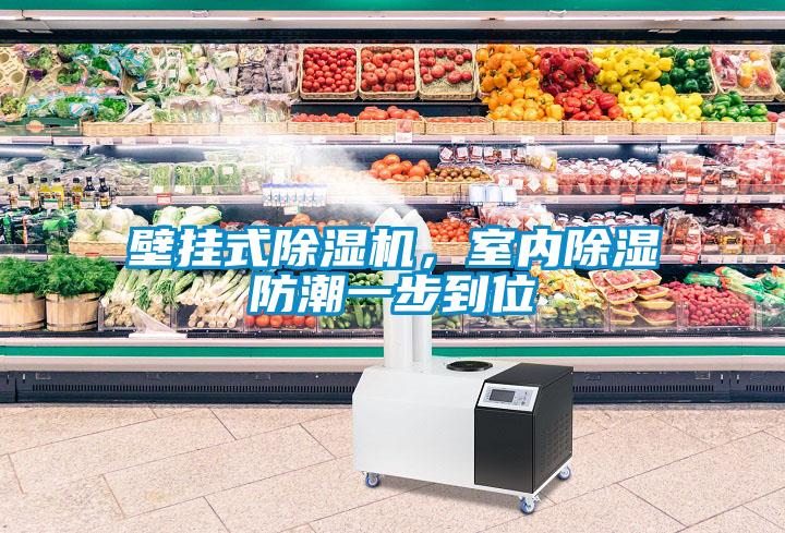 壁挂式粉色视频免费在线观看，室内除湿防潮一步到位