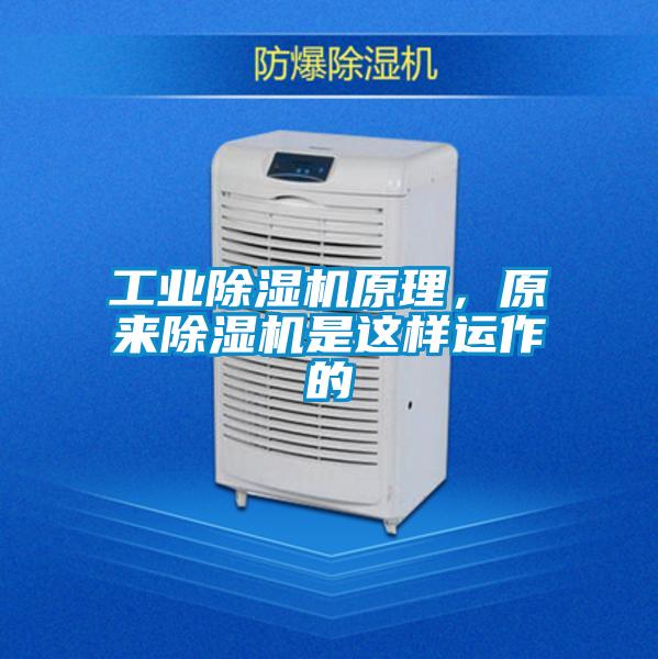 工业粉色视频免费在线观看原理，原来粉色视频免费在线观看是这样运作的