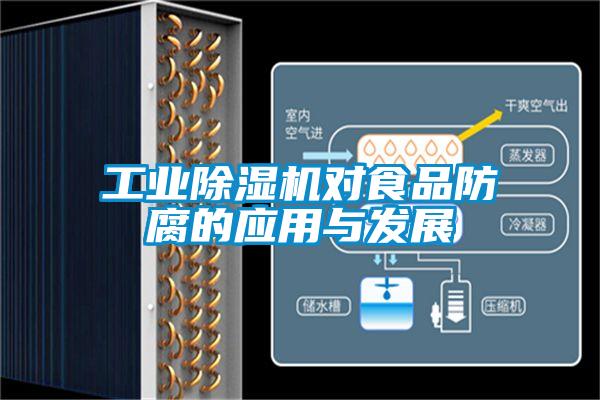 工业粉色视频免费在线观看对食品防腐的应用与发展