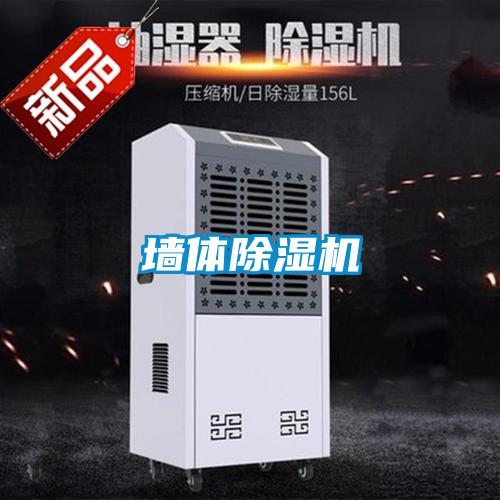 墙体粉色视频免费在线观看
