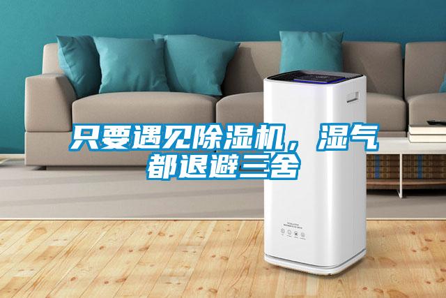 只要遇见粉色视频免费在线观看，湿气都退避三舍