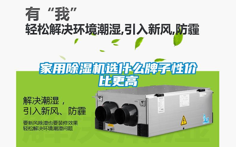 家用粉色视频免费在线观看选什么牌子性价比更高