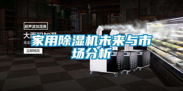 家用粉色视频免费在线观看未来与市场分析