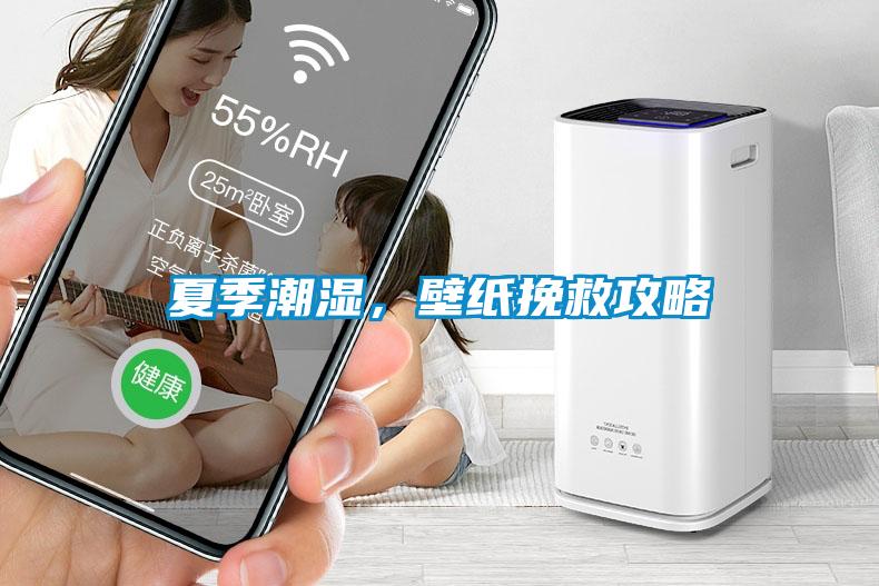 夏季潮湿，壁纸挽救攻略