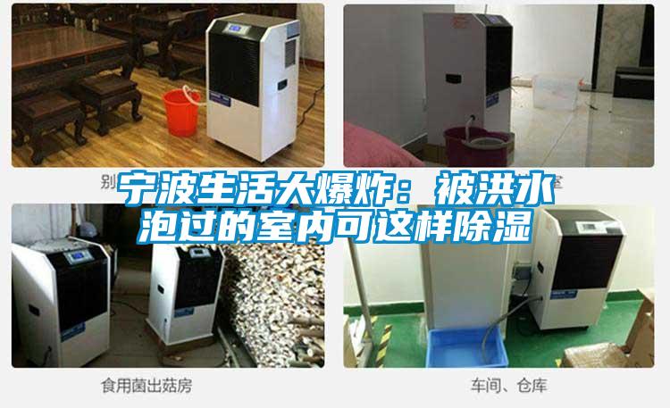 宁波生活大爆炸：被洪水泡过的室内可这样除湿