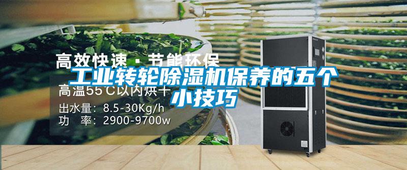 工业转轮粉色视频免费在线观看保养的五个小技巧