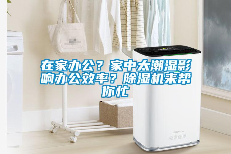 在家办公？家中太潮湿影响办公效率？粉色视频免费在线观看来帮你忙
