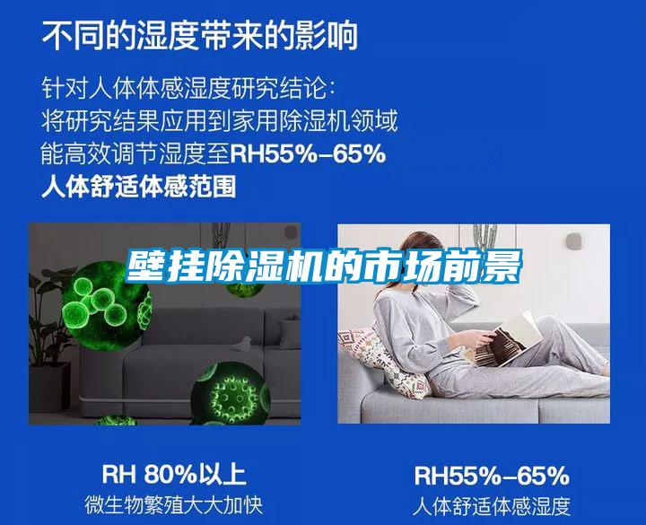 壁挂粉色视频免费在线观看的市场前景