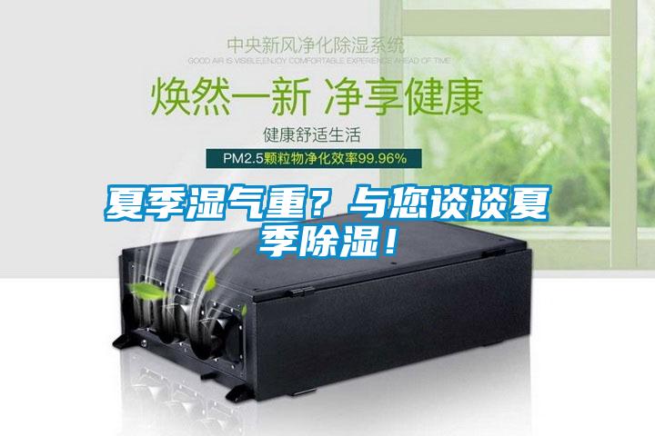 夏季湿气重？与您谈谈夏季除湿！