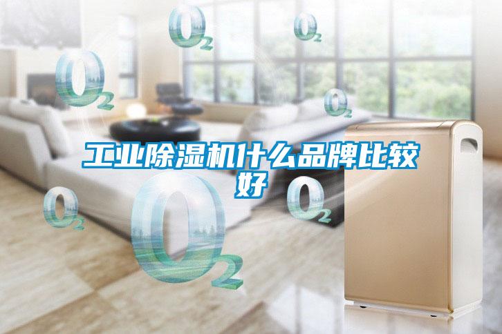 工业粉色视频免费在线观看什么品牌比较好
