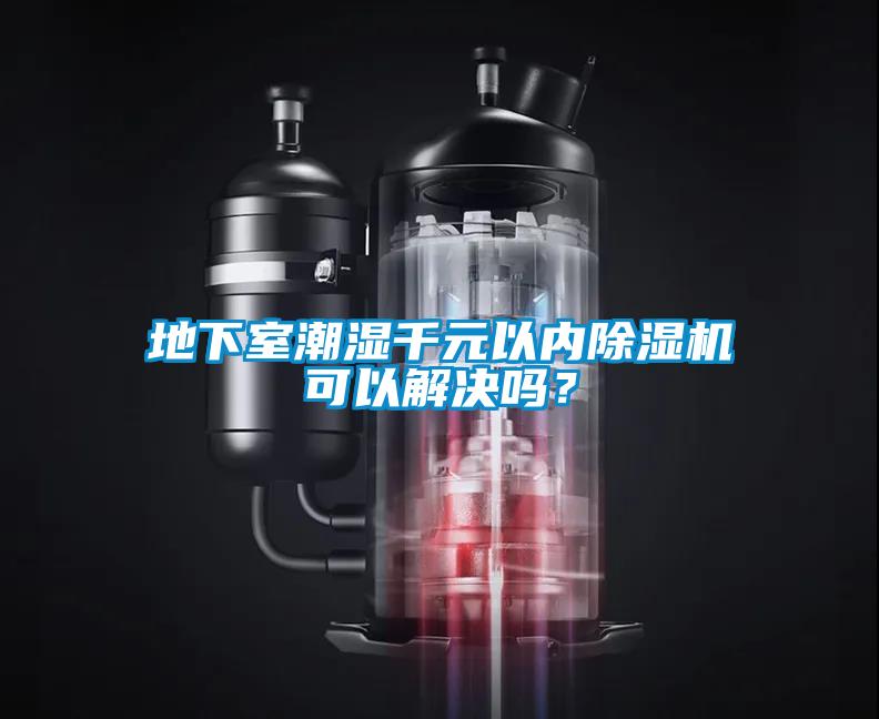 地下室潮湿千元以内粉色视频免费在线观看可以解决吗？