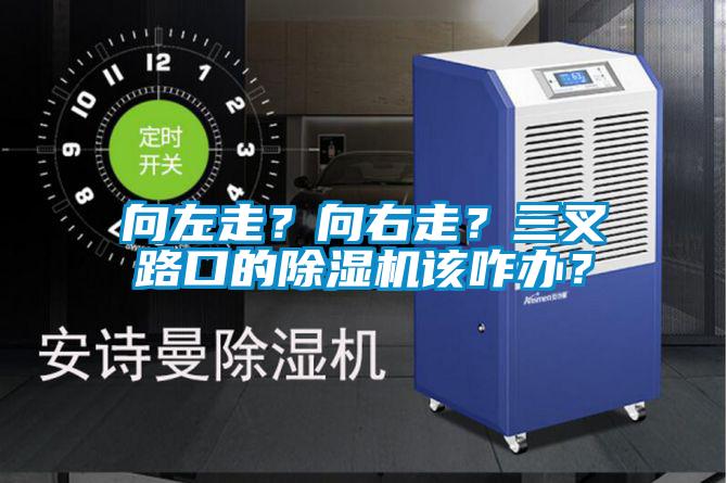向左走？向右走？三叉路口的粉色视频免费在线观看该咋办？