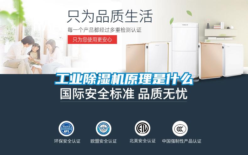 工业粉色视频免费在线观看原理是什么