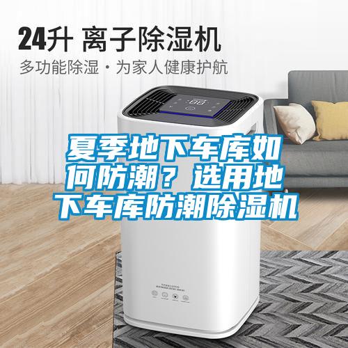 夏季地下车库如何防潮？选用地下车库防潮粉色视频免费在线观看