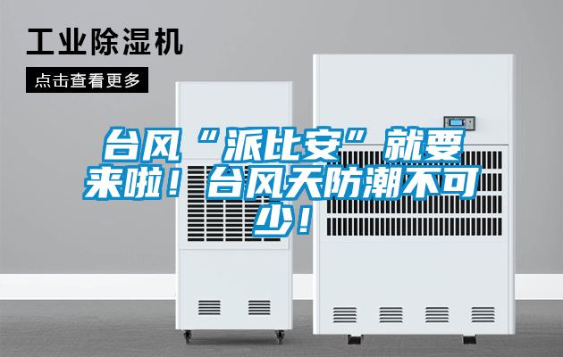 台风“派比安”就要来啦！台风天防潮不可少！