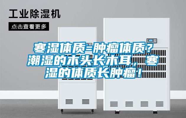 寒湿体质=肿瘤体质？潮湿的木头长木耳，寒湿的体质长肿瘤！