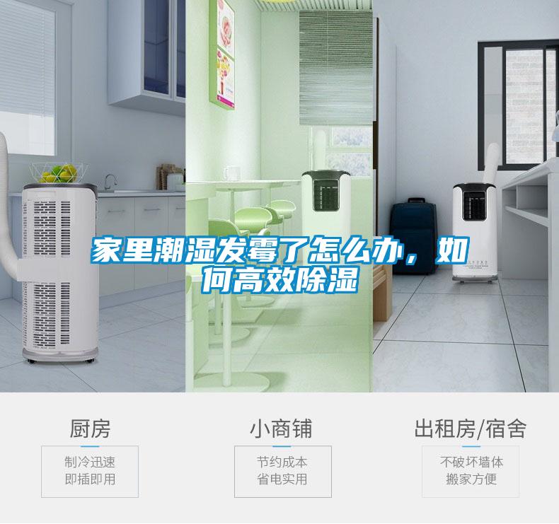 家里潮湿发霉了怎么办，如何高效除湿