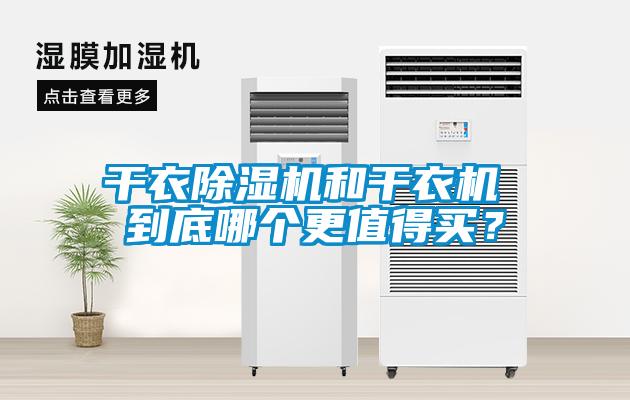 干衣粉色视频免费在线观看和干衣机 到底哪个更值得买？