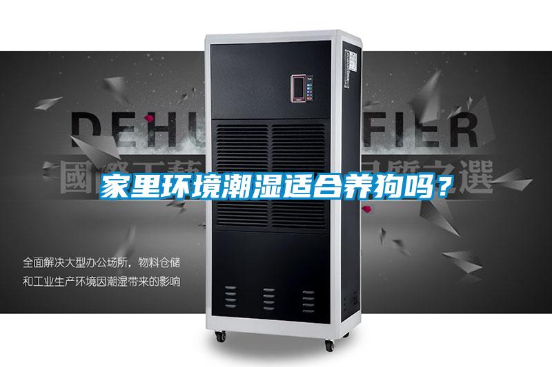 家里环境潮湿适合养狗吗？