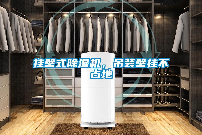 挂壁式粉色视频免费在线观看，吊装壁挂不占地