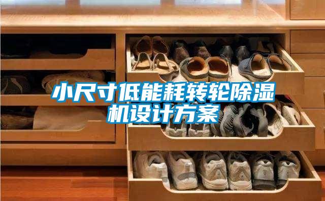 小尺寸低能耗转轮粉色视频免费在线观看设计方案