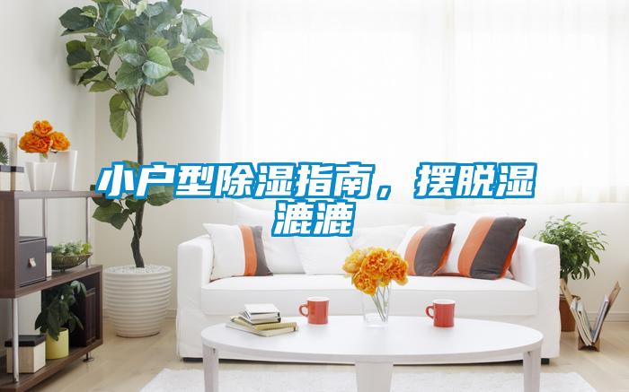 小户型除湿指南，摆脱湿漉漉
