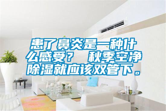 患了鼻炎是一种什么感受？ 秋季空净除湿就应该双管下。