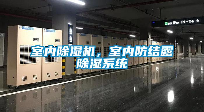 室内粉色视频免费在线观看，室内防结露除湿系统