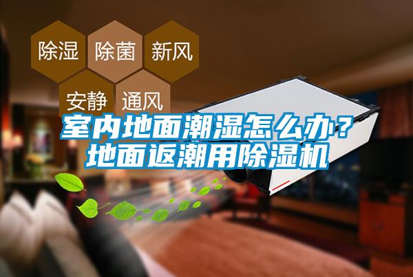 室内地面潮湿怎么办？地面返潮用粉色视频免费在线观看