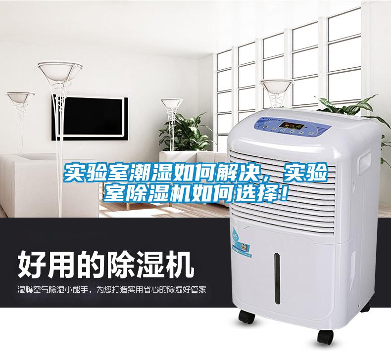 实验室潮湿如何解决，实验室粉色视频免费在线观看如何选择！