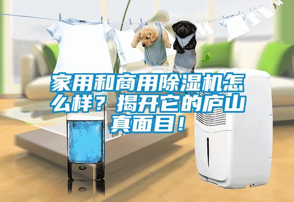 家用和商用粉色视频免费在线观看怎么样？揭开它的庐山真面目！